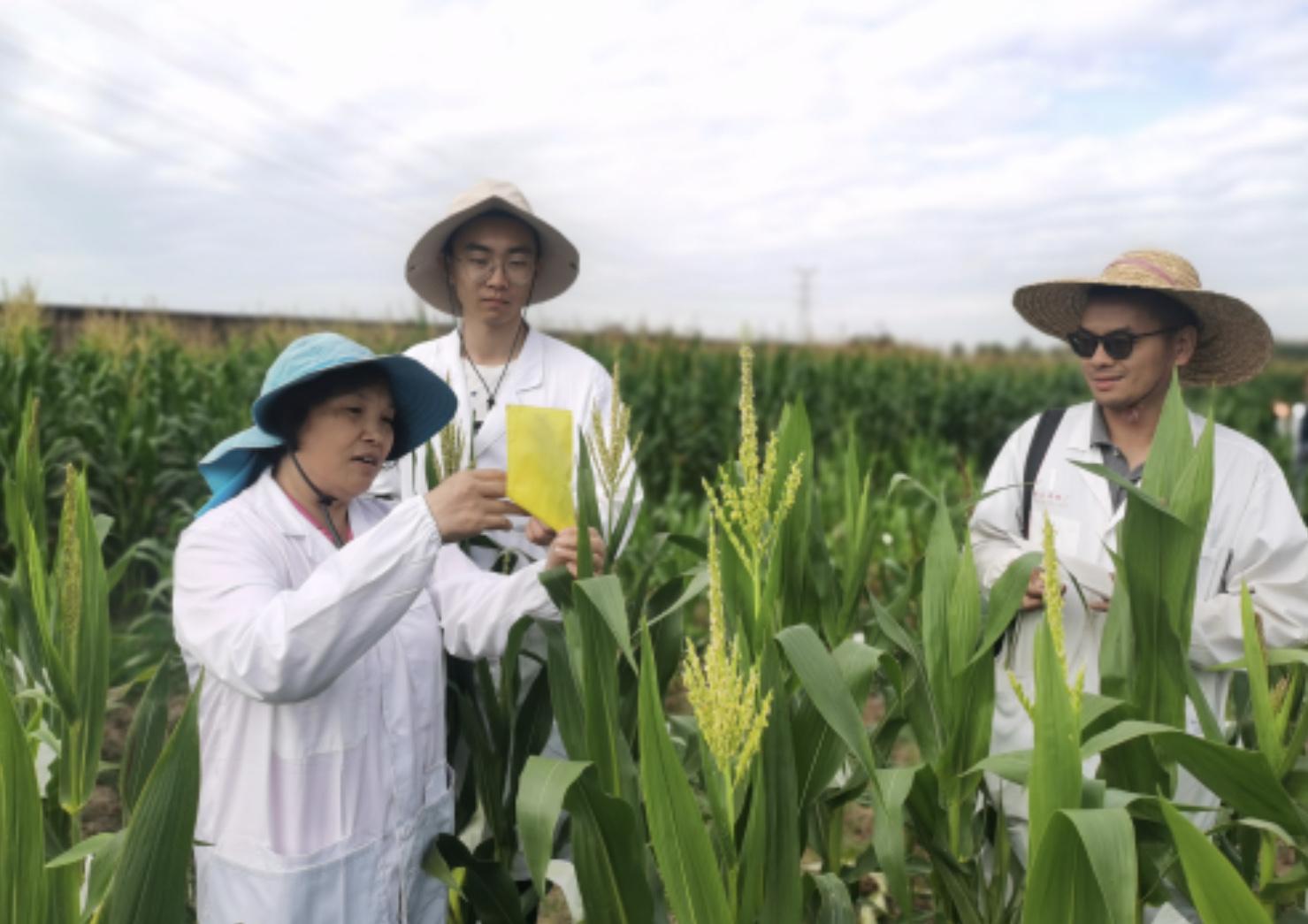 农学相关实习包括哪些