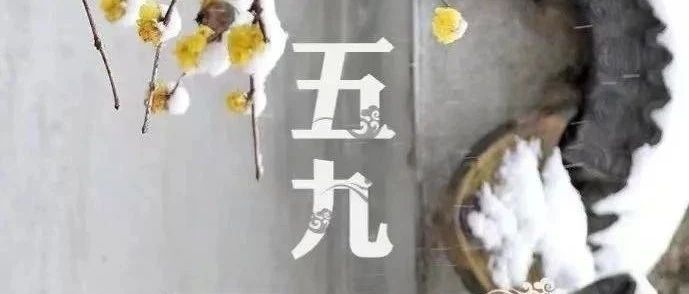 明日进入“五九”, 节后天气|阵风|晴间多云|最高气温_新浪新闻