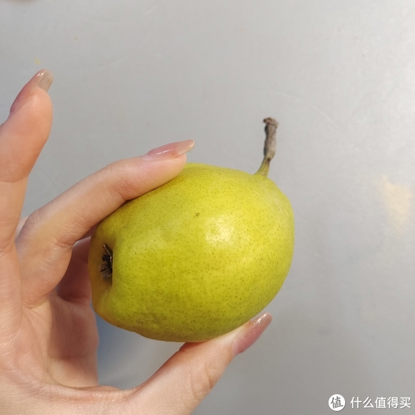 冰糖炖雪梨小说