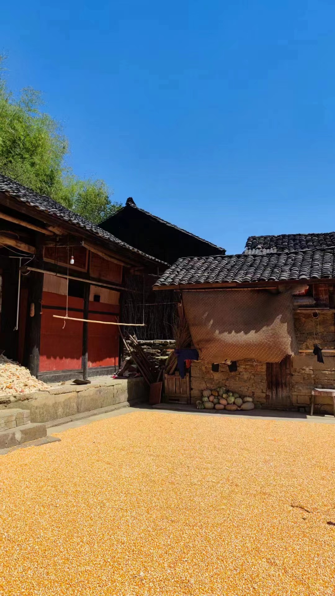 返乡创业,乡村不止诗和远方