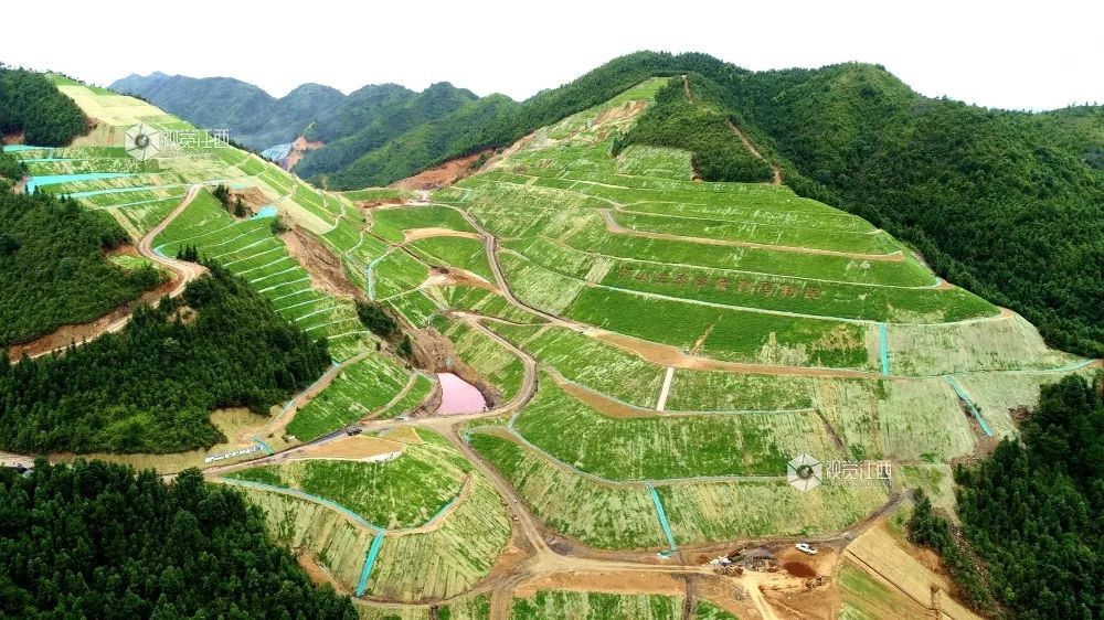 矿区生态环境怎修复?|中国工程院_新浪财经_新浪网