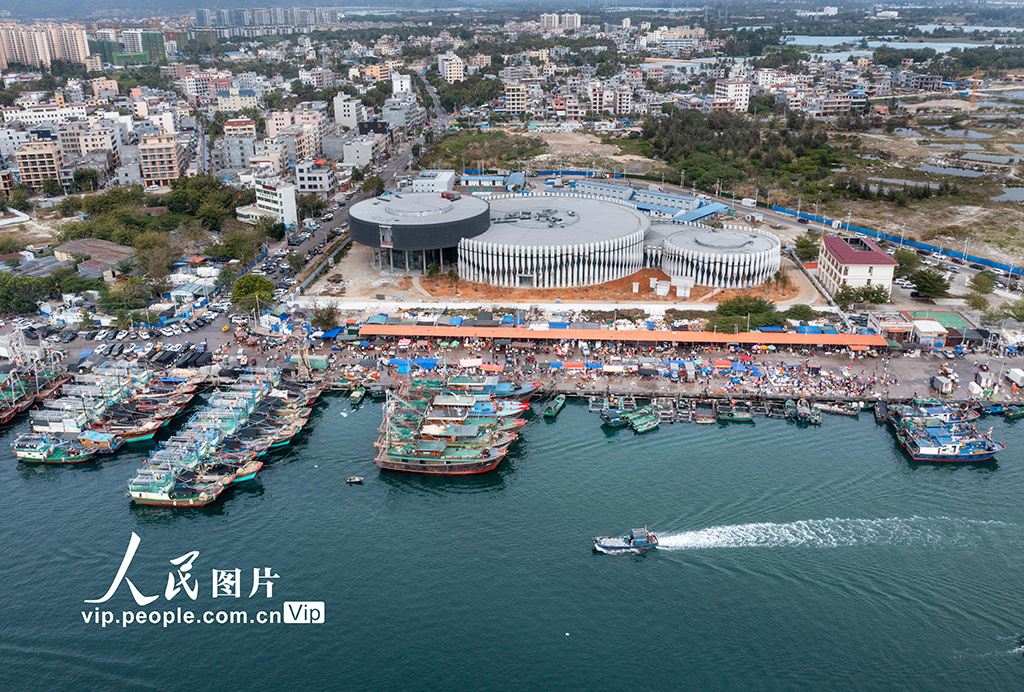 令人震惊的消息:马鞍山师苑新村后面还有吗,2025年马鞍山师苑新村后面规划与发展情况