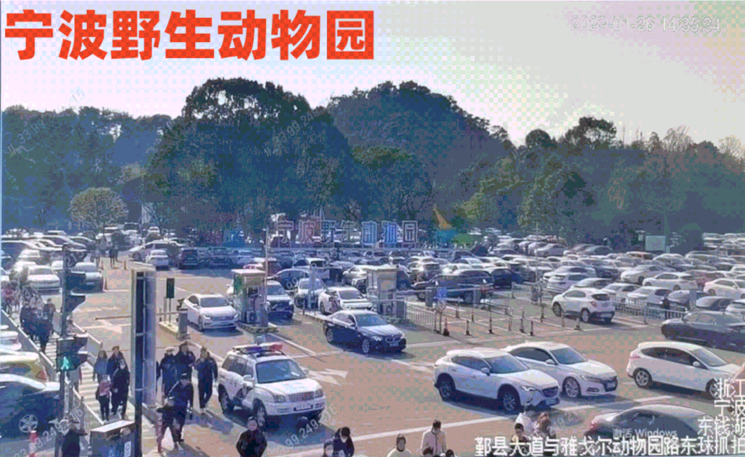 昨天上午,宁波野生动物园(雅戈尔(7.500,0.07,0.