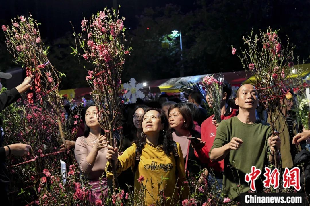 2019年2月，市民在广州天河花市选购迎春花卉。陈骥旻 摄