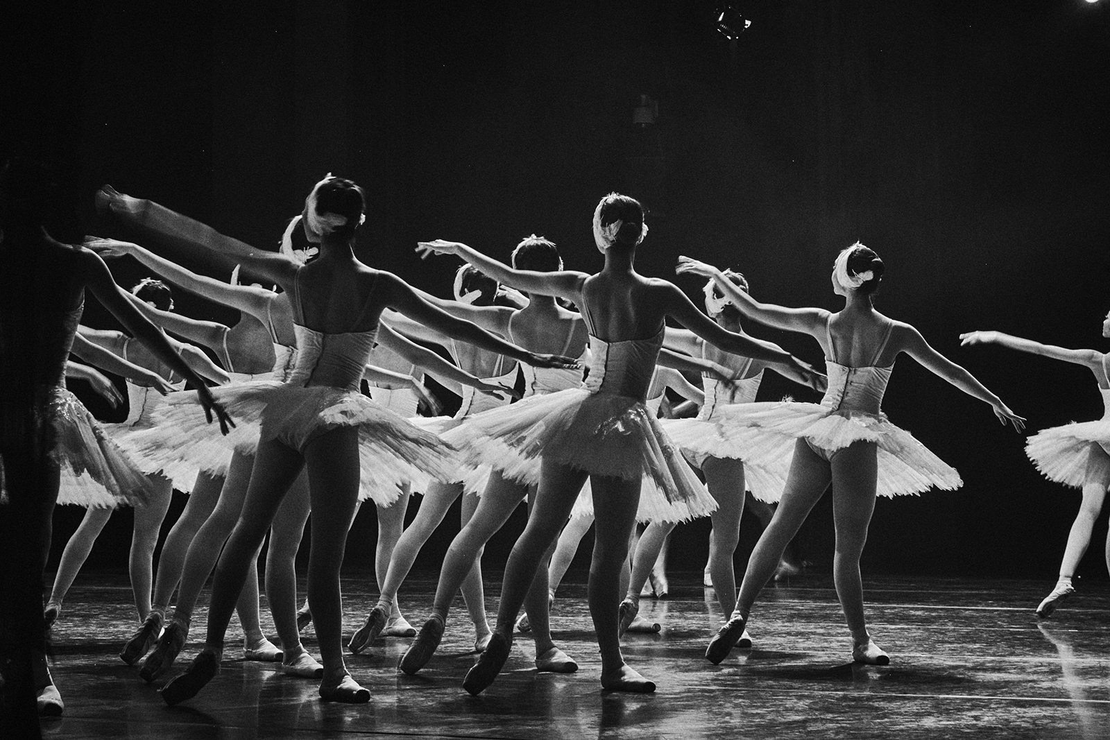 城事|上海芭蕾舞团经典版"天鹅湖"闪耀兔年新春|上海芭蕾舞团_新浪