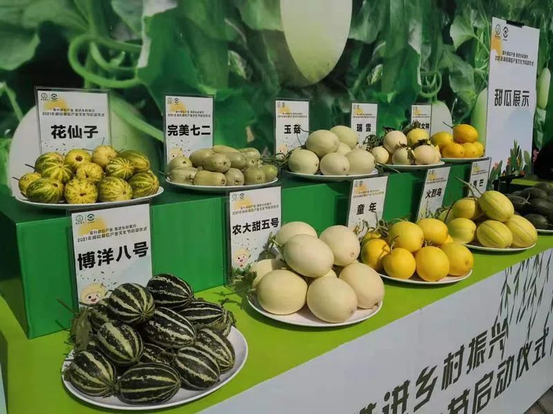 加快推动城乡融合发展,西安乡村振兴成绩亮眼!_手机新浪网