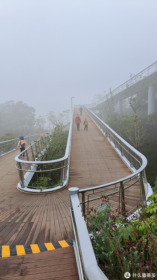 雾行林海步道间,盼归塔上观海边|林海|步道|东坪山_新浪新闻