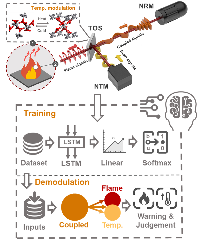 （来源：Advanced Functional Materials）