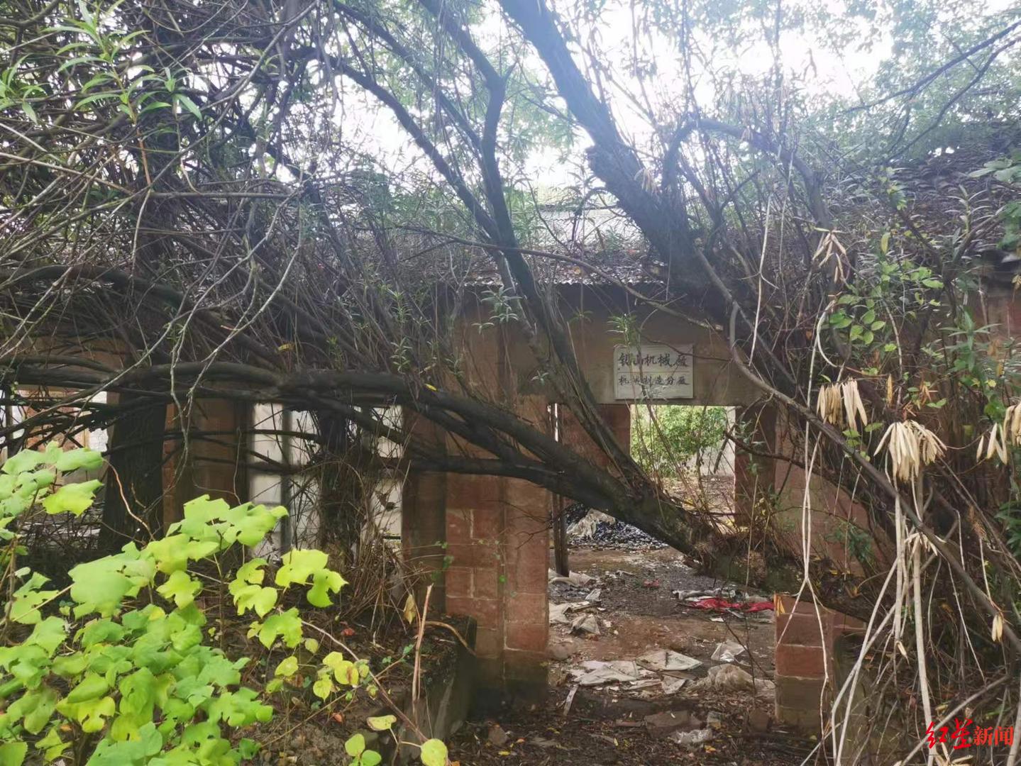 遗体为何在距学校不足百米处被发现？胡鑫宇事件三大疑团待解休闲区蓝鸢梦想 - Www.slyday.coM