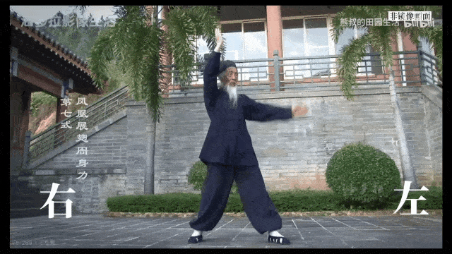 初秋跟练的是张至顺道长的“八部金刚功”。/B站@熊叔的田园生活