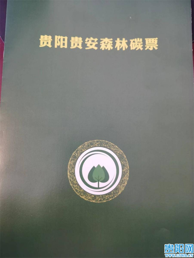 开阳县喜获“森林碳票”！|林业|林地|交易|王治|幼林_新浪新闻