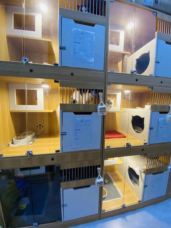 除了因为需求激增导致的价格普涨外,宠物寄养的定价原则与宠物店提供