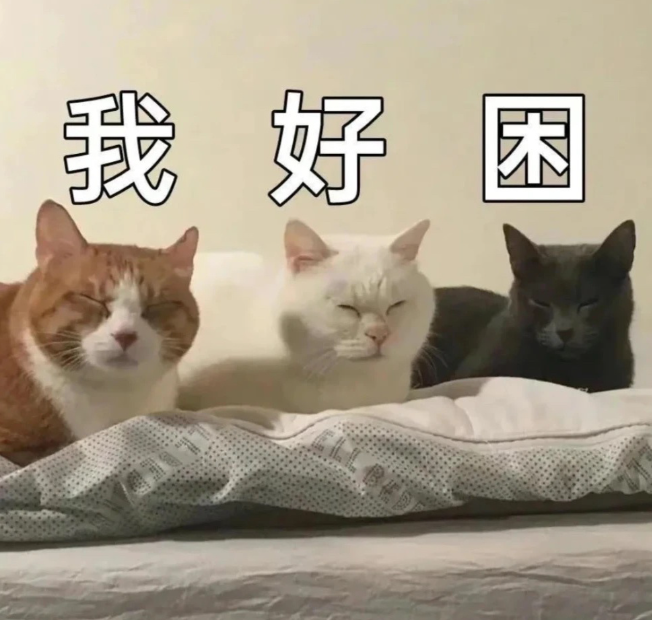 一上班就犯困?这些提神方法打工人必看!__财经头条
