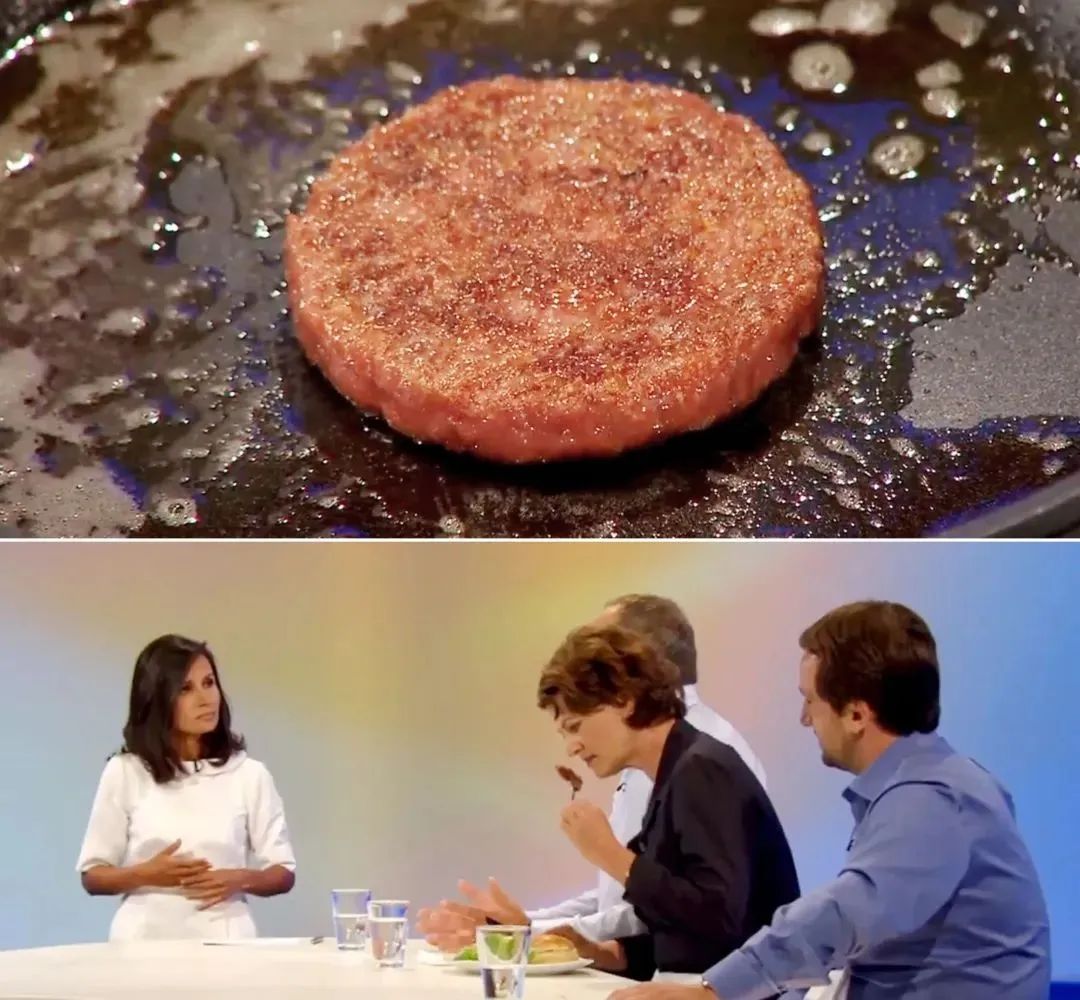 2013年，一块细胞基人造肉在电视直播中亮相