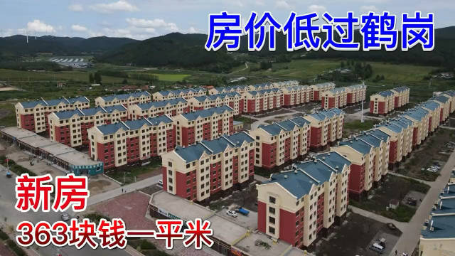 鹤岗房价为什么这么低(鹤岗在哪里哪个省份哪个市)