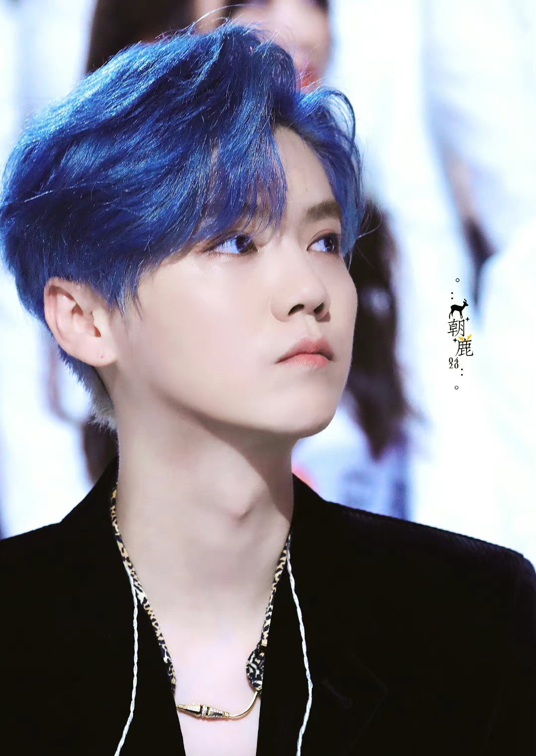 蔡徐坤,王一博,鹿晗同款蓝色头发……|蔡徐坤|王一博|鹿晗_新浪新闻