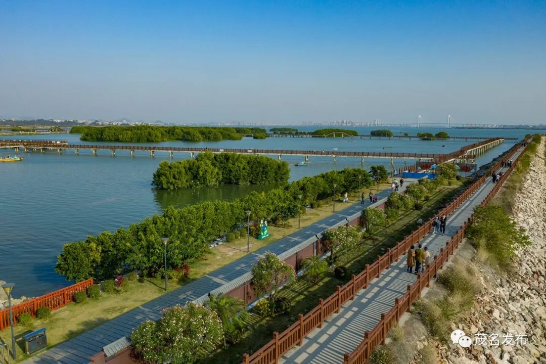 电白区水东湾生态修复工程.茂名日报社全媒体记者 丘立贺 摄