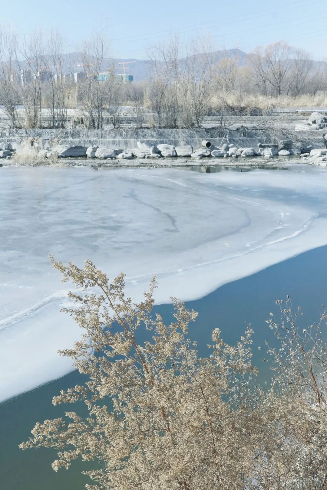 永定河引水渠冰场图片