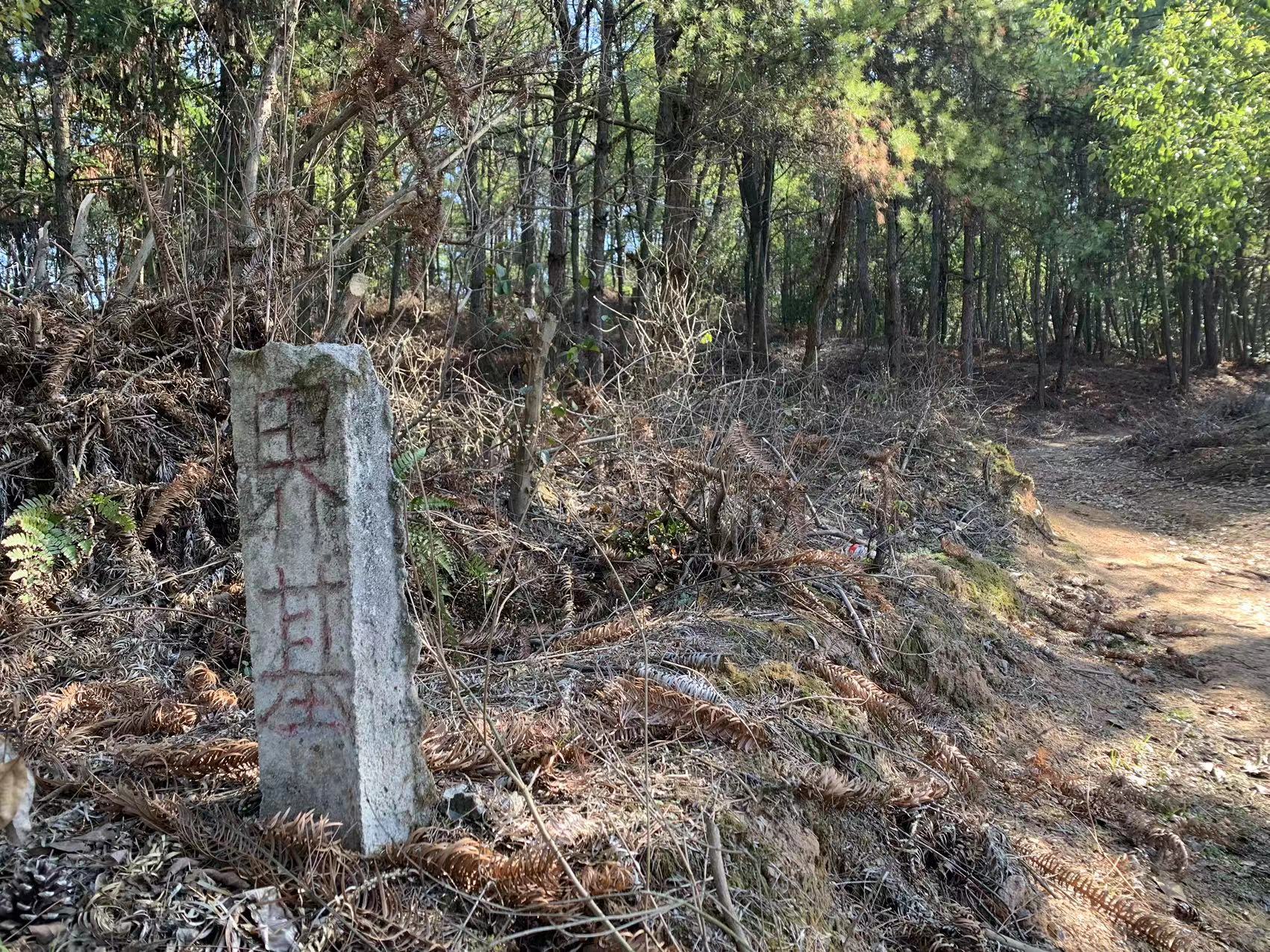探访胡鑫宇遗体发现地：上山主路被封，居民称金鸡山区域很大无人居住