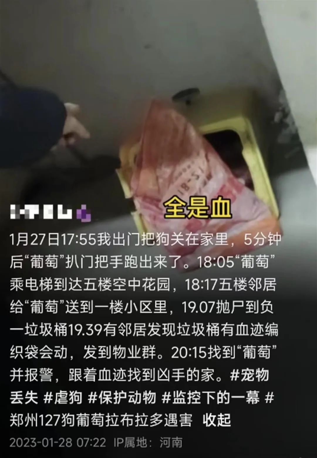 狗主人网上发声