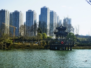 七彩湖公园一角.