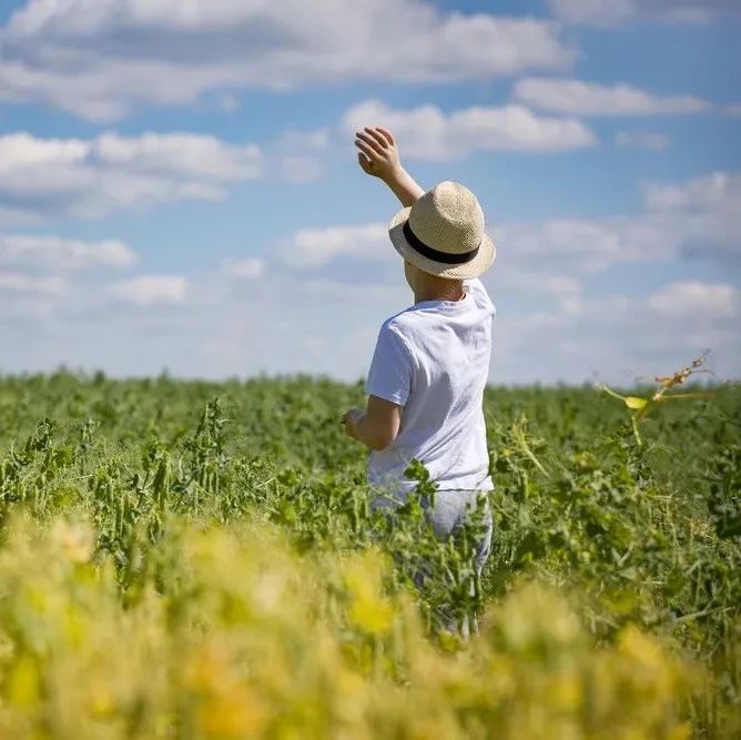 五菱宏光S五座高配落地价格 五菱宏光S值得买吗