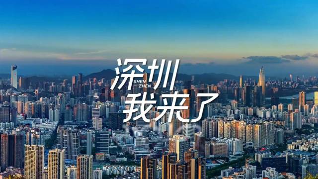深圳,我来了_新浪新闻