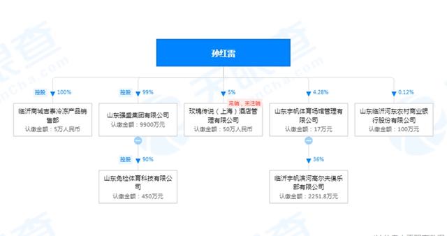 孙红雷投资公司一览。天眼查截图