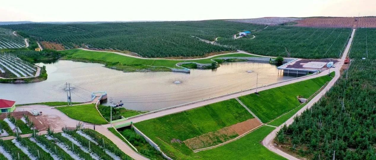 绿色通道是什么 绿色通道申请流程怎么走