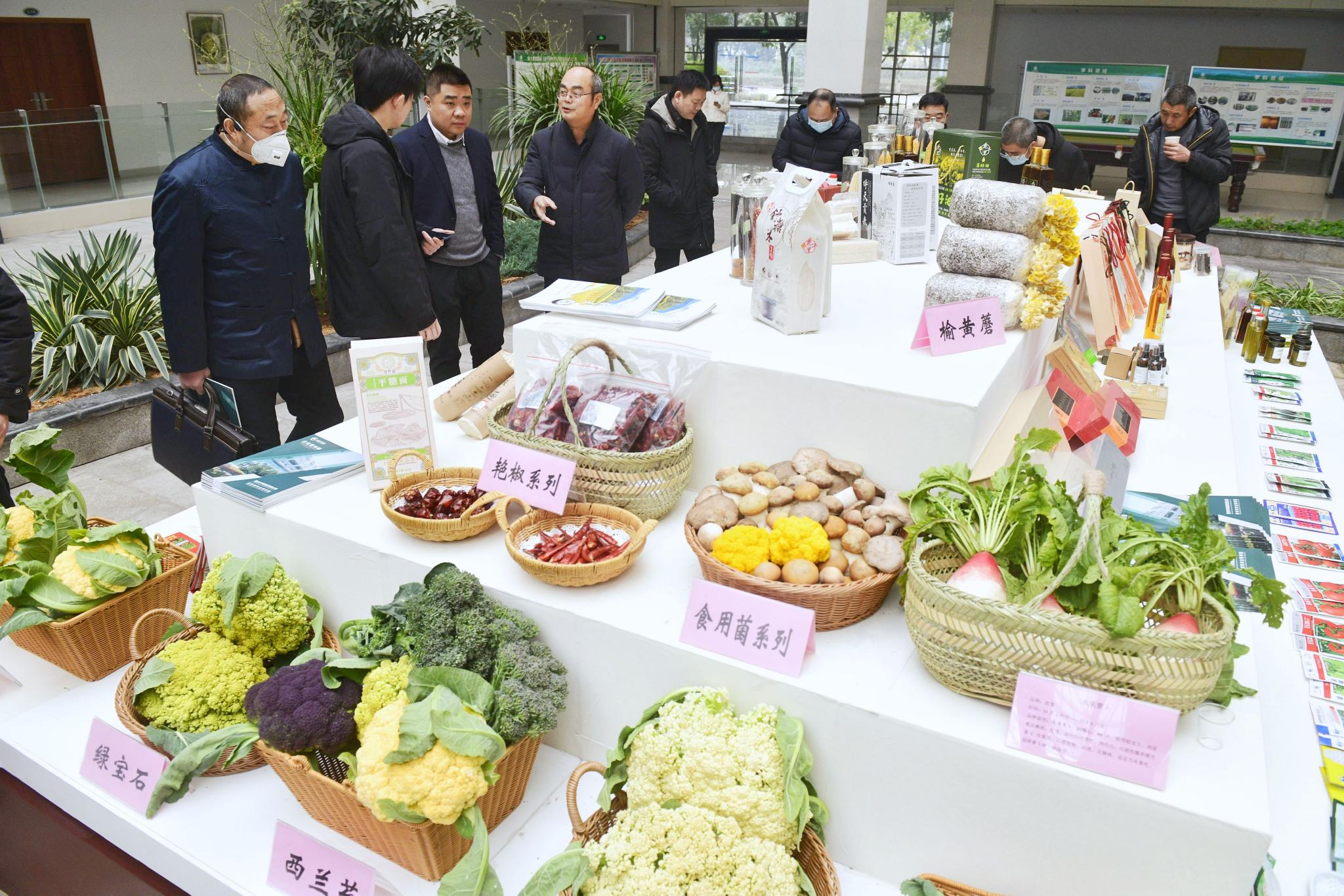重庆市农业科学院"2023年科技成果发布会"现场展示的特色农作物.