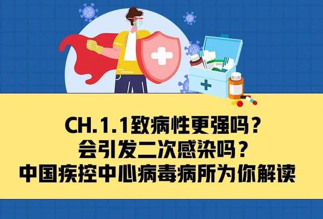 CH.1.1致病性更强吗？会引发二次感染吗？图解来了