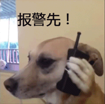 家贼难防！女子拜年偷走男友舅舅5万元现金...