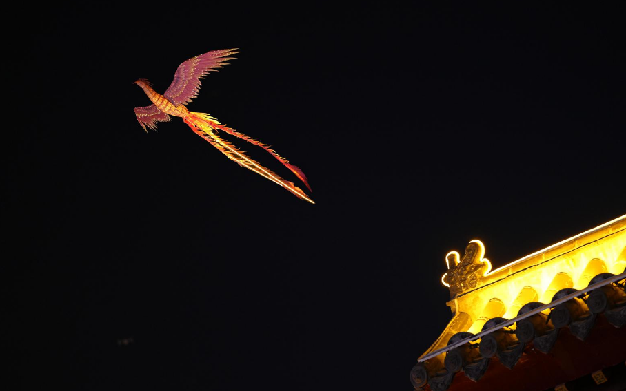 沈阳有一只在夜空中遨游的金凤凰……|沈阳市_新浪财经_新浪网