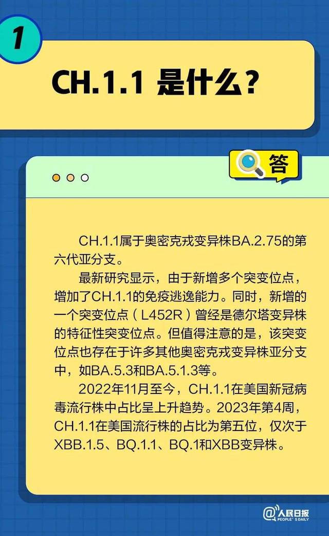 CH.1.1致病性更强吗？会引发二次感染吗？图解来了