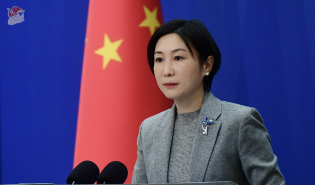 毛宁资料图.图源:外交部