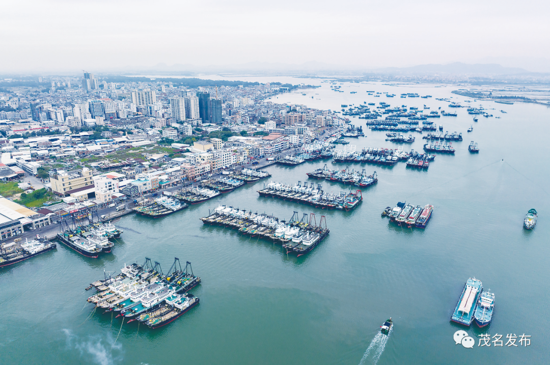 博贺渔港.茂名日报社全媒体记者&nbsp;吴昊&nbsp;摄