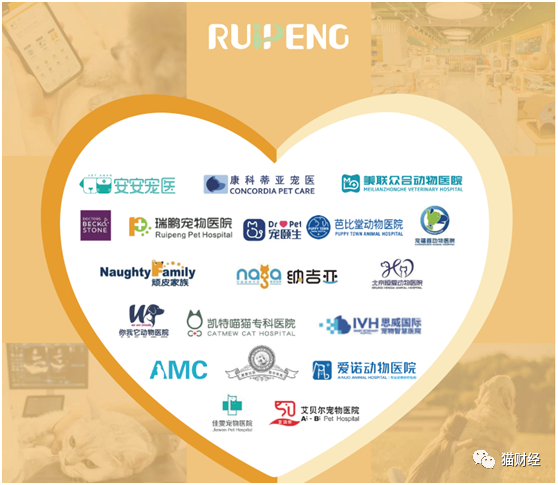 新瑞鹏冲击"宠物医疗第一股":3年累亏近35亿,2000家宠物医院并未起