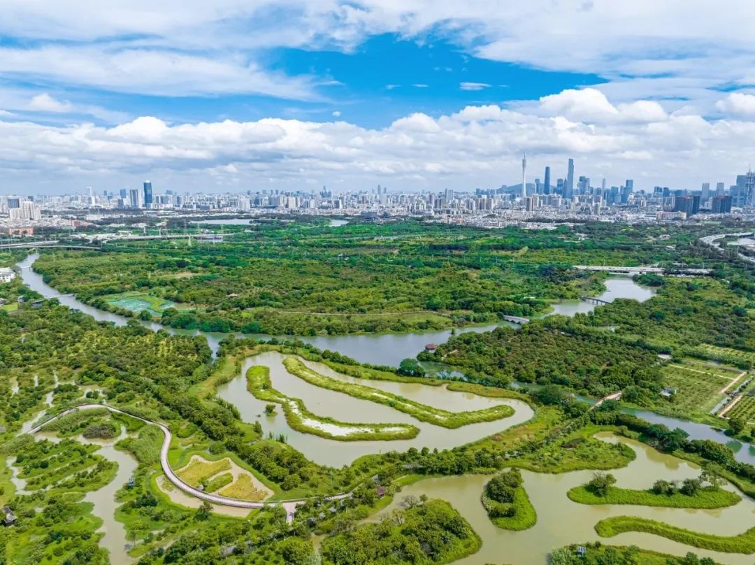 海珠湿地见证广州生态发展，为羊城保护了珍贵的原生态