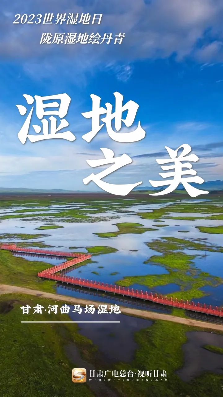 自2009年起,甘肃省共建设有12处国家湿地公园,1处省级湿地公园,湿地