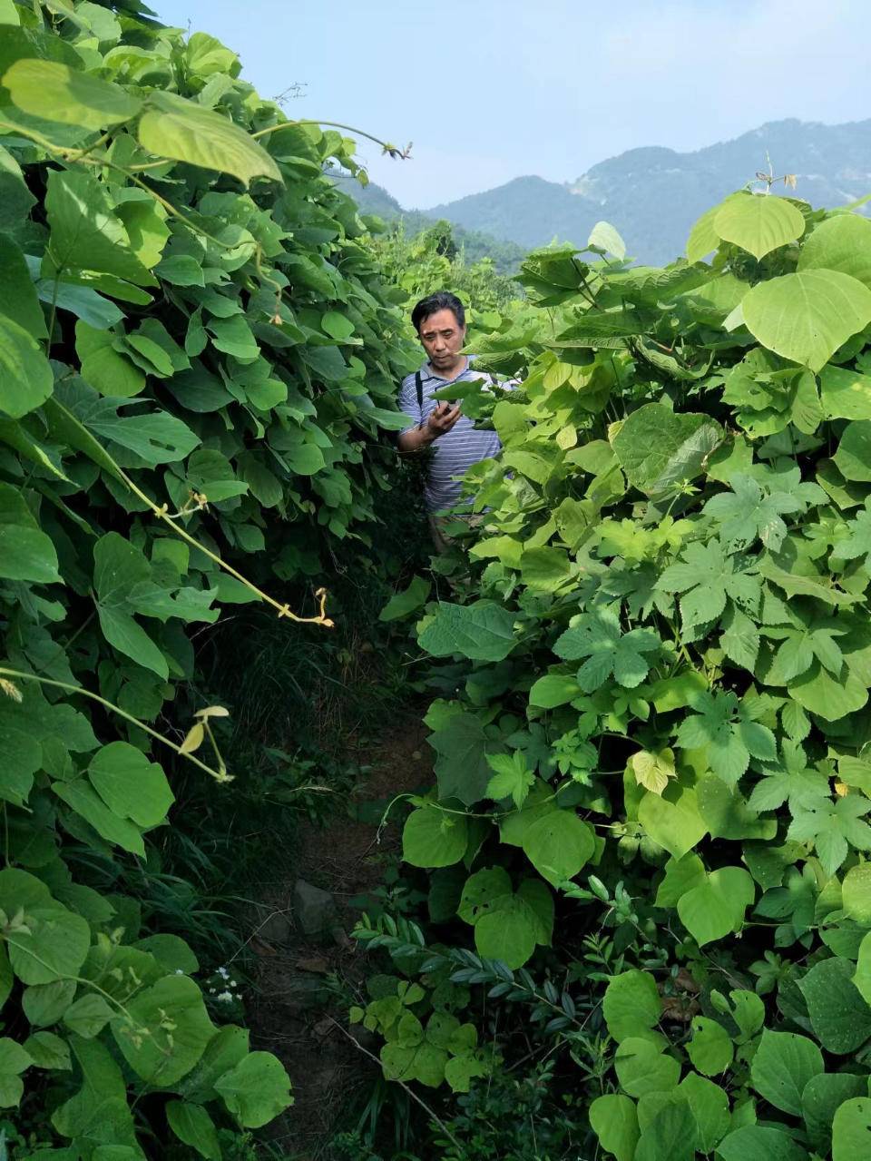 青未了 | 驴行八仙礅__财经头条