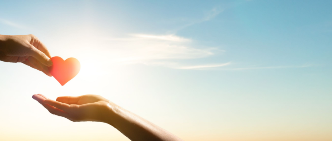 水滴已经实现光明正大做公益，挺直腰杆靠水滴保、医疗技术输出等业务实现盈利。