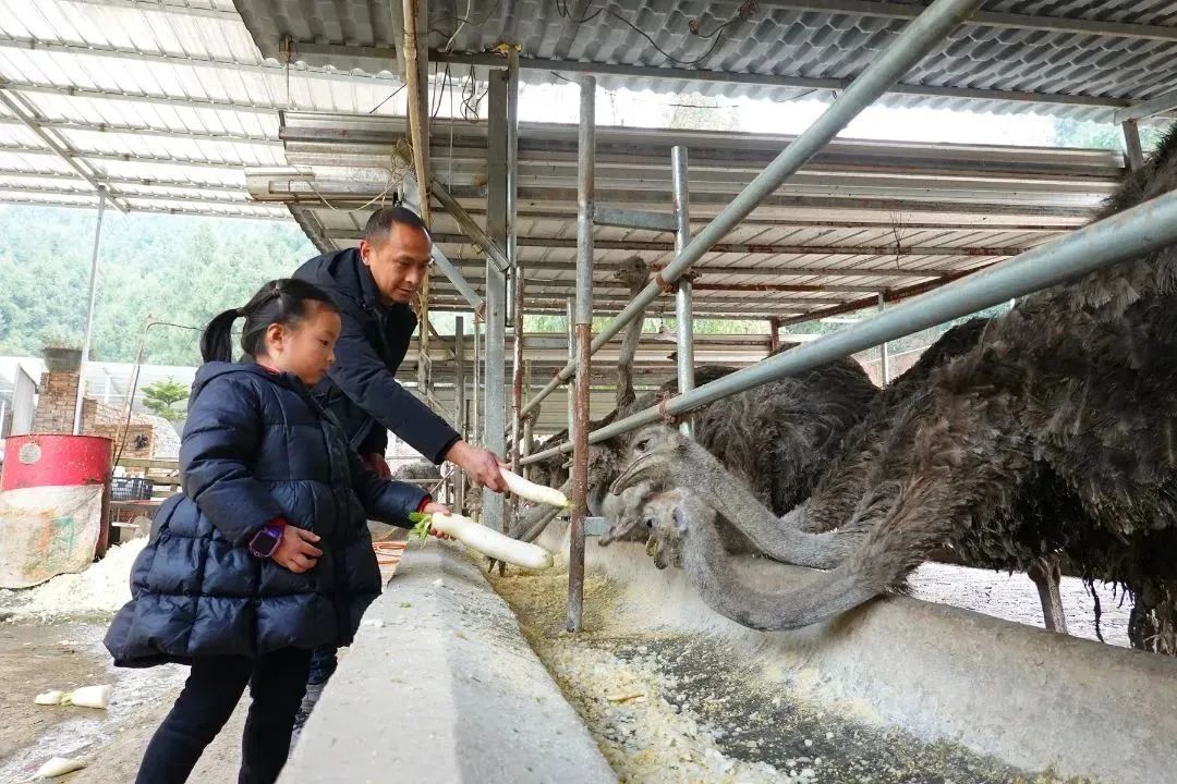 探寻诗和远方 品读文旅之花休闲区蓝鸢梦想 - Www.slyday.coM