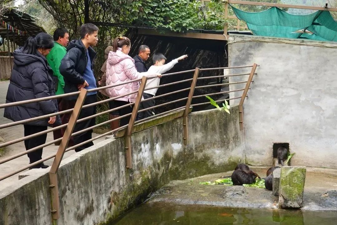 探寻诗和远方 品读文旅之花休闲区蓝鸢梦想 - Www.slyday.coM