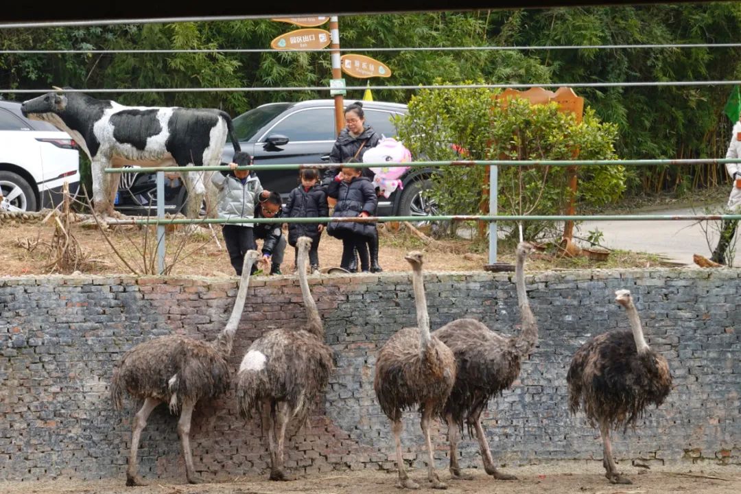 探寻诗和远方 品读文旅之花休闲区蓝鸢梦想 - Www.slyday.coM