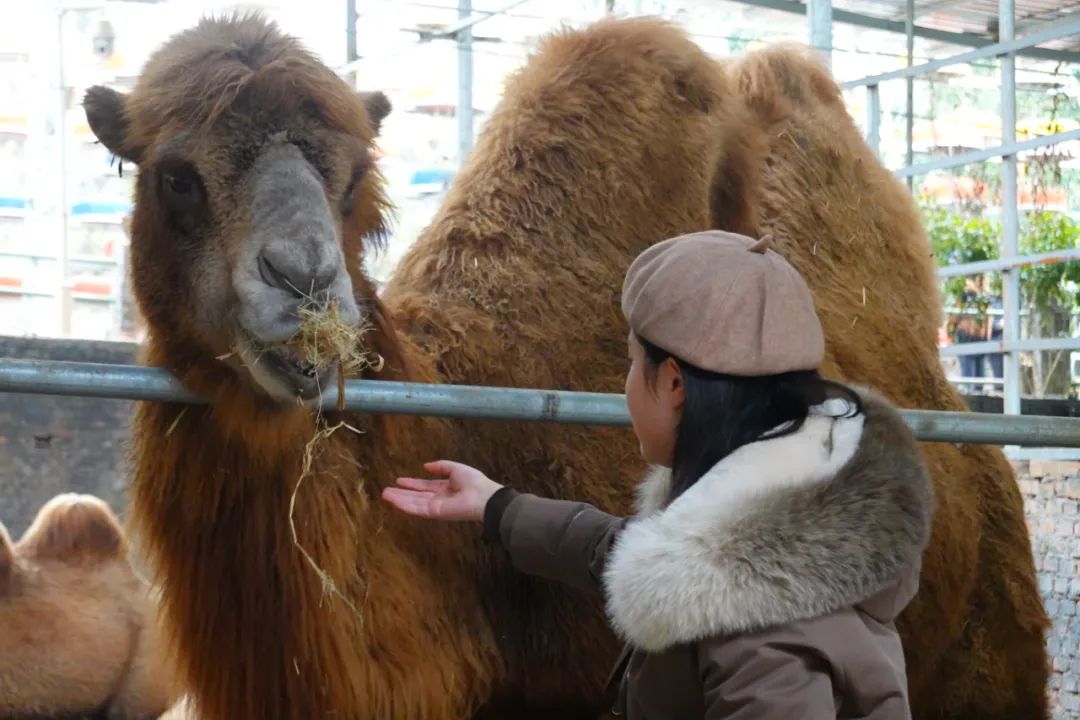 探寻诗和远方 品读文旅之花休闲区蓝鸢梦想 - Www.slyday.coM