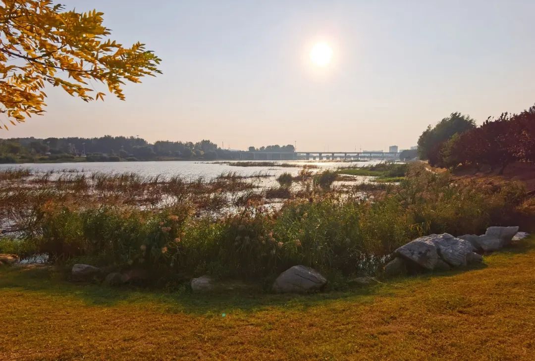 初冬时节的白沙河湿地.唐婕 摄