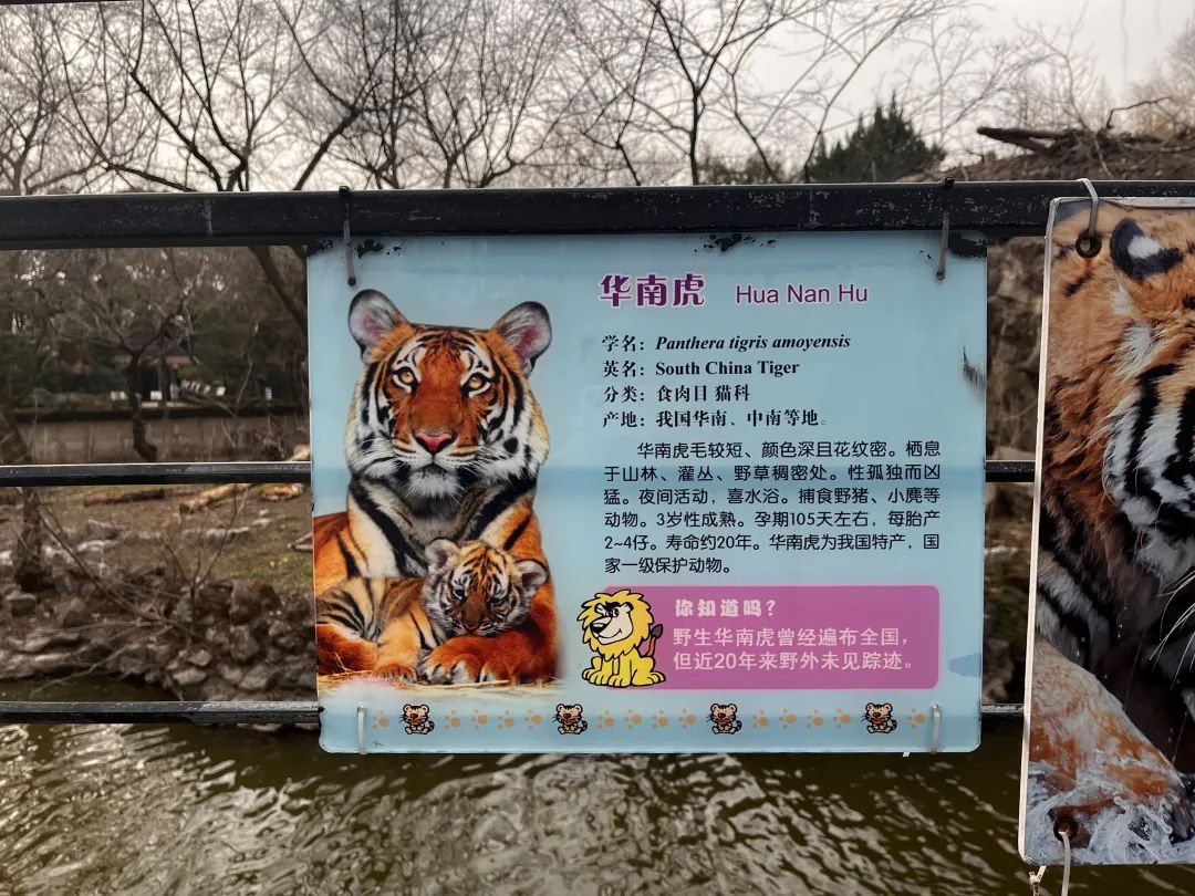 邢台市动物园介绍图片