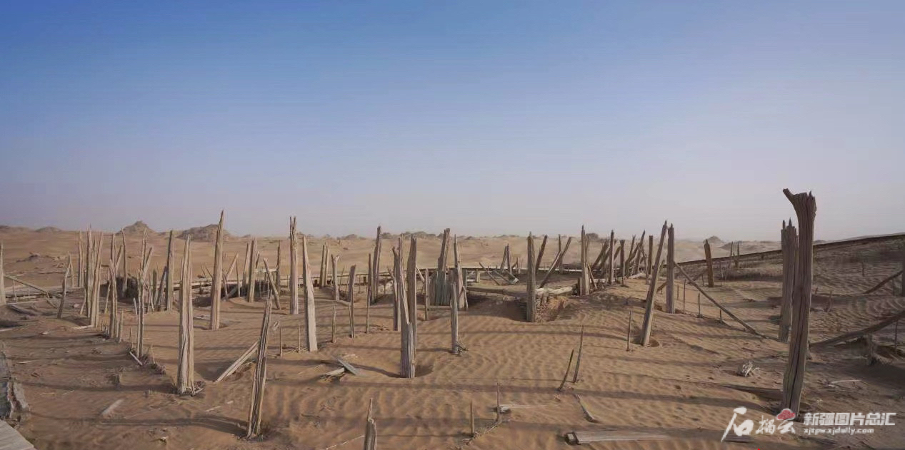 尼雅遗址中保护最为完整的n3居址.天山网-新疆日报记者王晶晶 摄