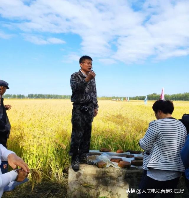 让肇源稻花全国飘香|“庄稼人”苏才逐梦记