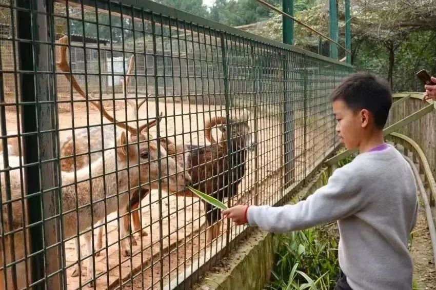 探寻诗和远方 品读文旅之花休闲区蓝鸢梦想 - Www.slyday.coM